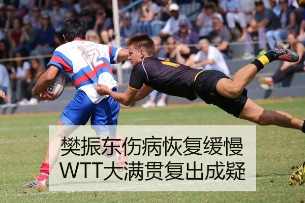 樊振东伤病恢复缓慢 WTT大满贯复出成疑